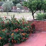 Carolea Bed & Breakfast 3*