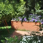 Carolea Bed & Breakfast 3*