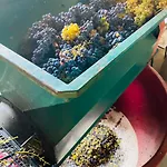 Carolea Bed & Breakfast Acireale