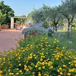 Bed & Breakfast Carolea