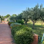 Carolea Bed & Breakfast 3*
