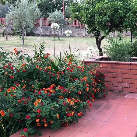 Carolea Bed & Breakfast 3*