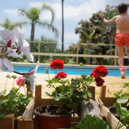 Carolea Bed & Breakfast