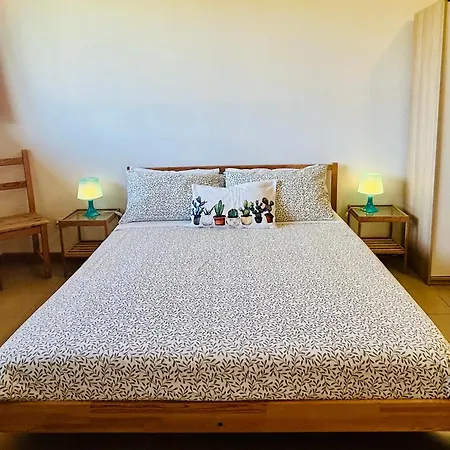 Carolea 3*
