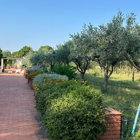 Carolea B&B 3*