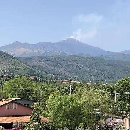 Carolea Acireale