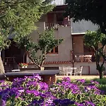 Carolea 3*