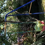 Carolea Bed & Breakfast Acireale