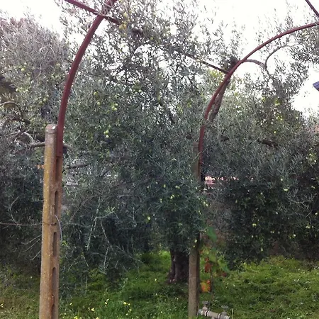 Bed & Breakfast Carolea Acireale