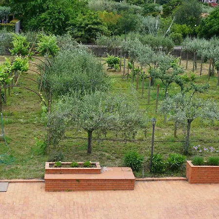 Carolea Bed & Breakfast Acireale