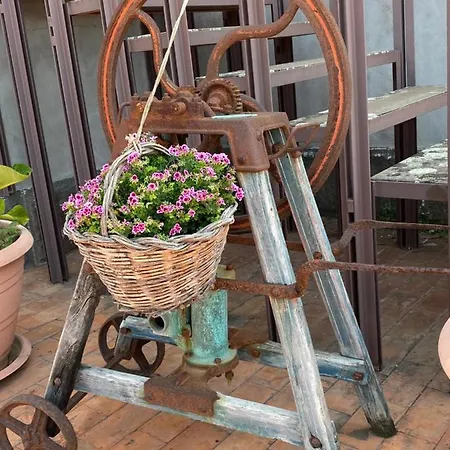 Carolea Bed & Breakfast