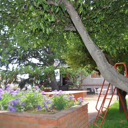 Carolea Bed & Breakfast 3*