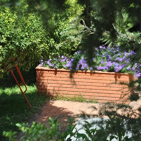 Carolea Bed & Breakfast 3*