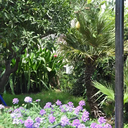 Carolea Bed & Breakfast