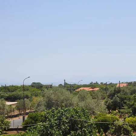 Carolea 3*