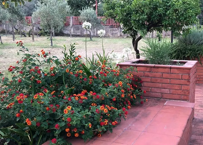 Carolea Bed & Breakfast 3*