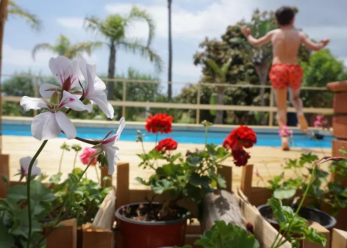 Carolea Bed & Breakfast