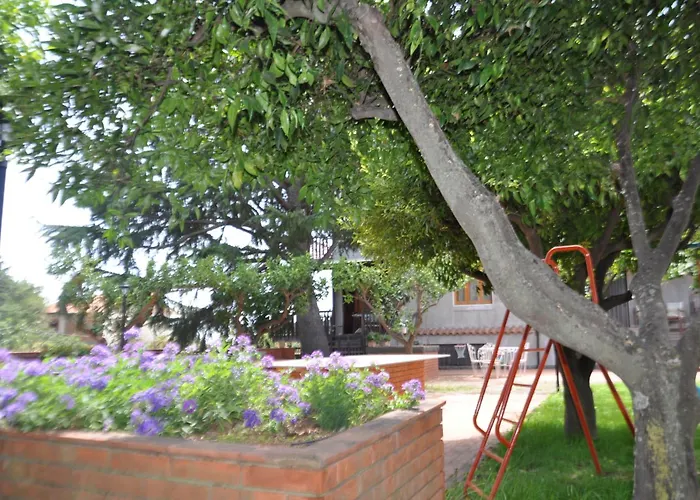 Carolea Bed & Breakfast 3*