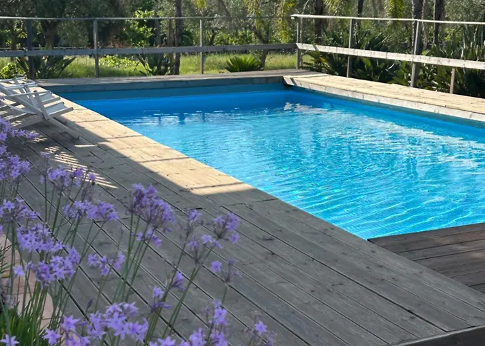 Carolea Bed & Breakfast