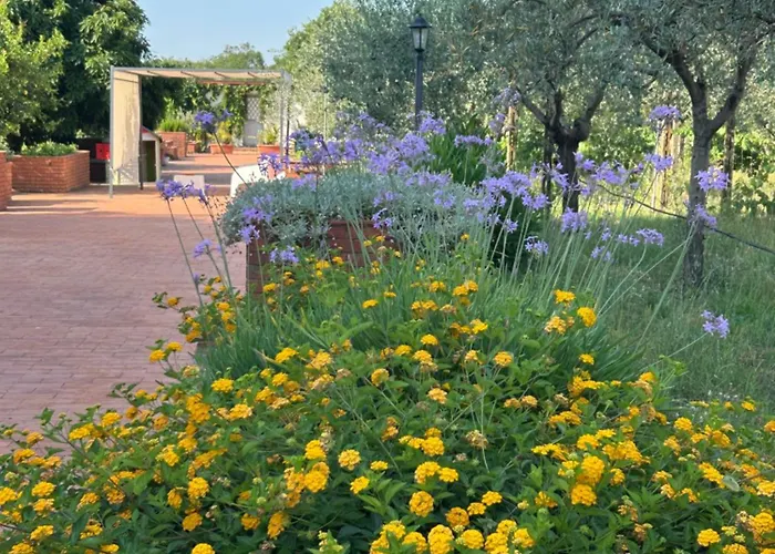 Bed & Breakfast Carolea