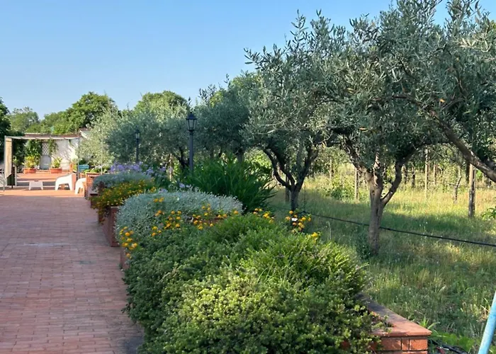 Carolea Bed & Breakfast 3*